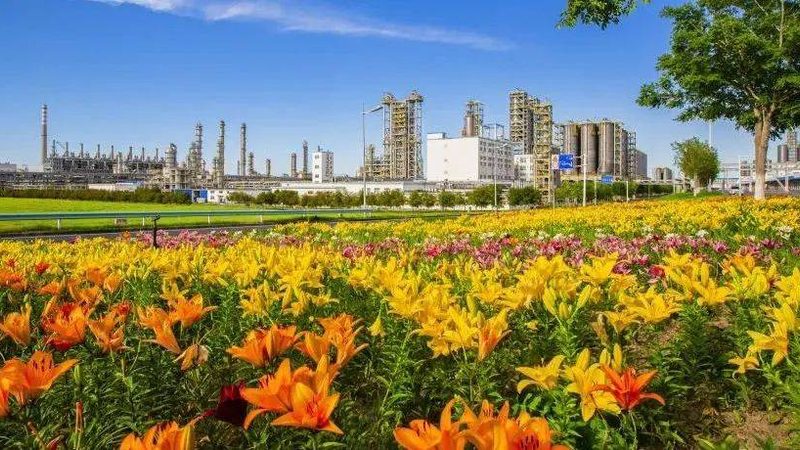环保塑料助剂：绿色制造的关键一环