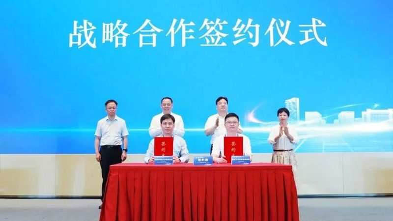 天然防腐剂与化学防腐剂：婴幼儿食品中的安全选择